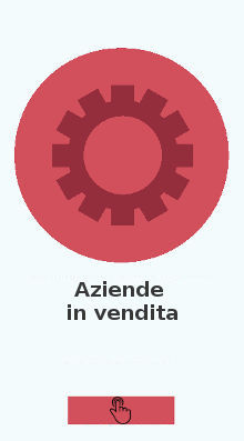 Aziende in vendita